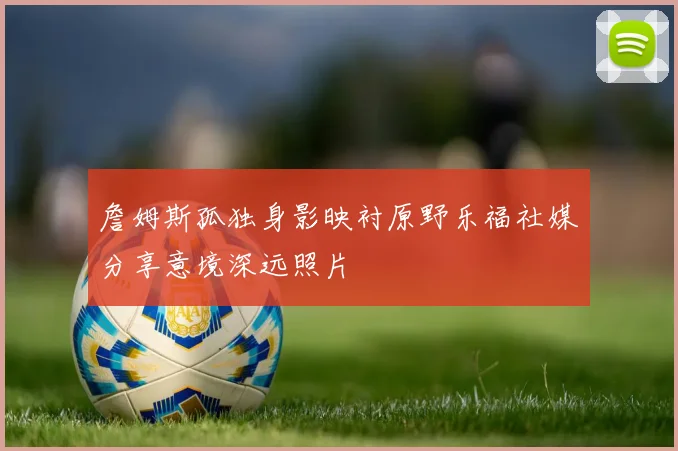 詹姆斯孤独身影映衬原野乐福社媒分享意境深远照片